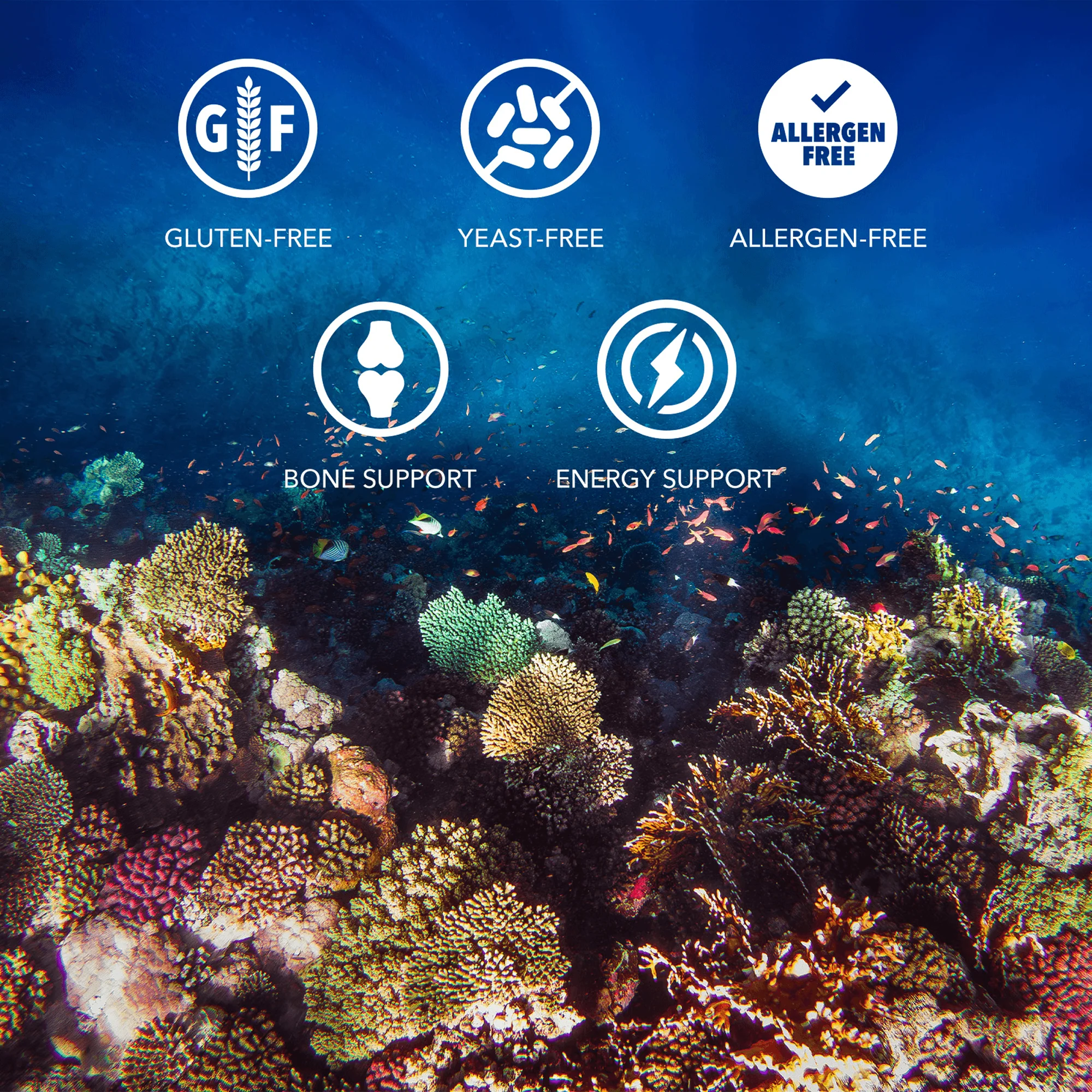 Activated Coral Calcium® Capsules - Image 4