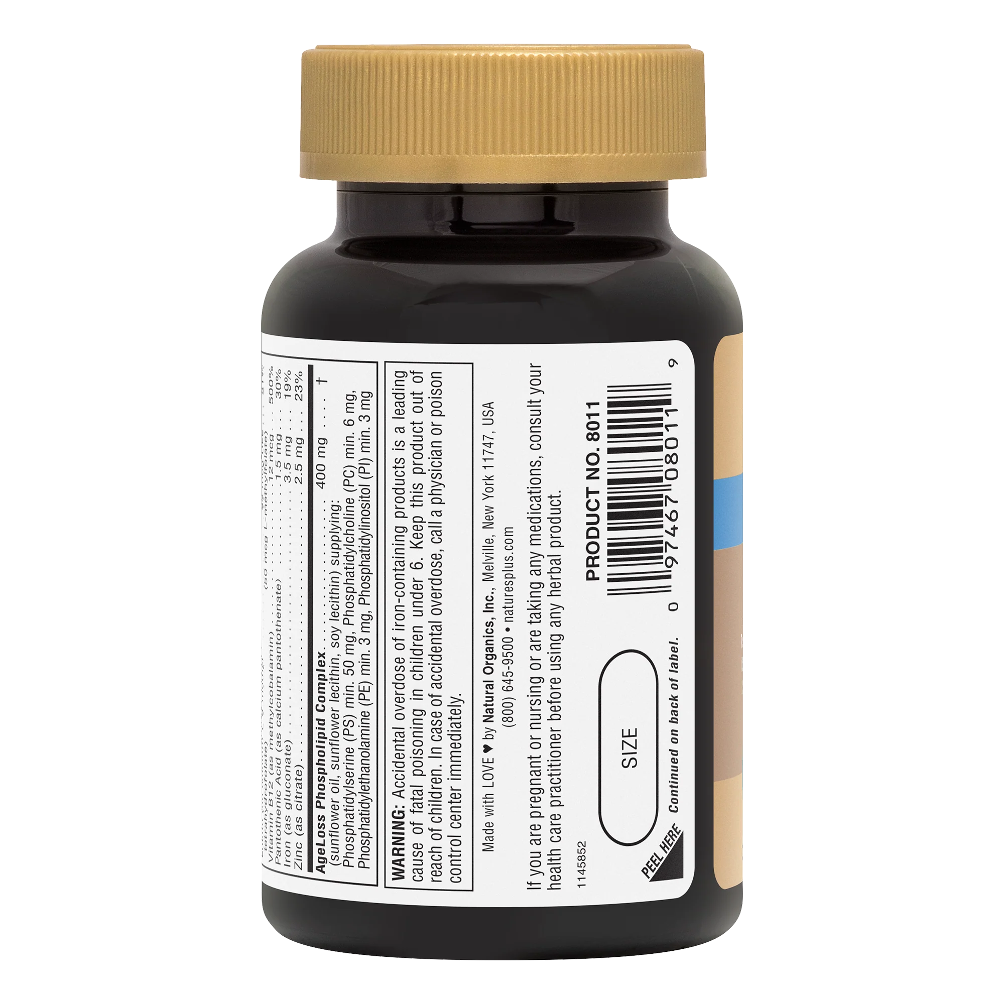AgeLoss® Brain Support Capsules - Image 3