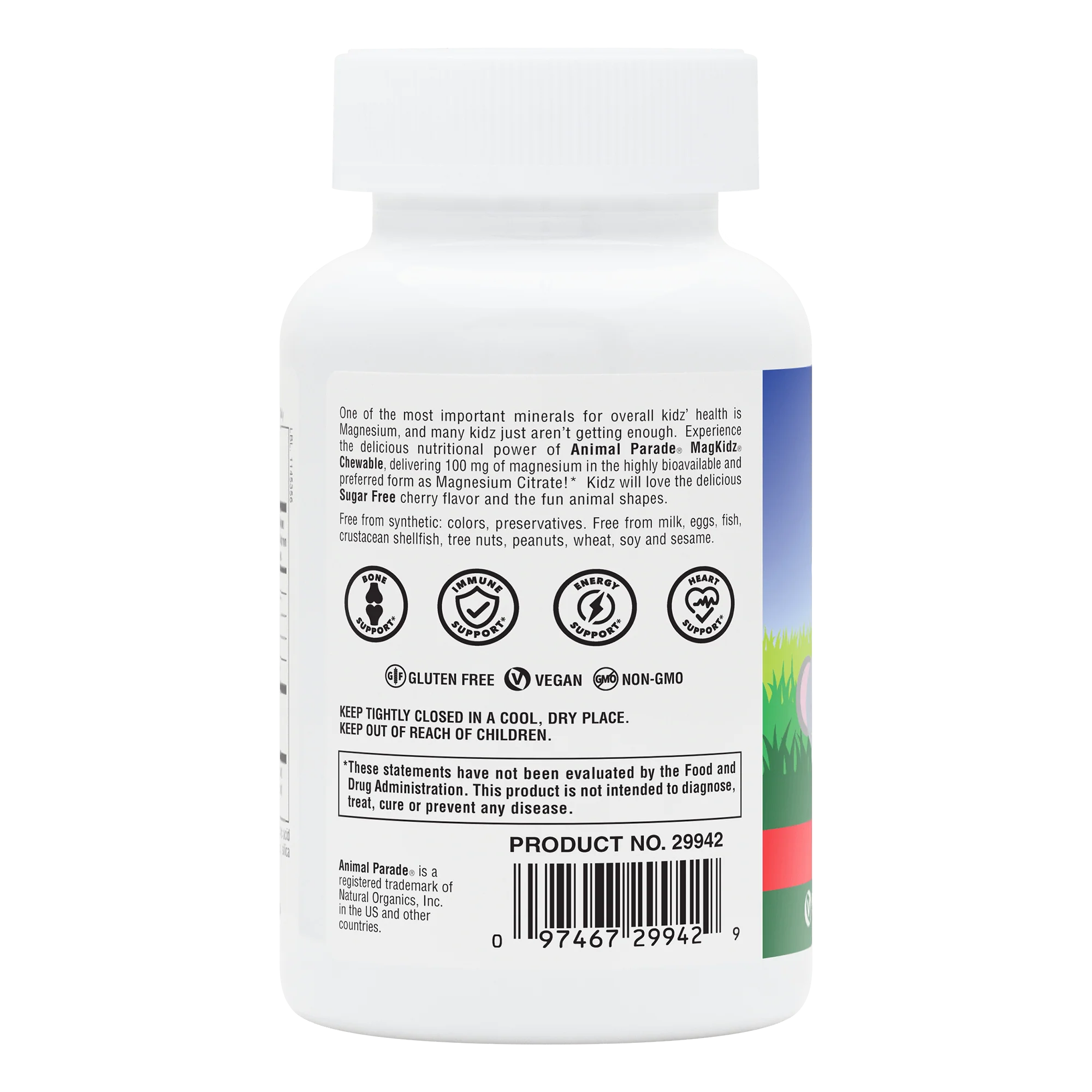 Animal Parade®  MagKidz™ Children's Chewables - Image 3