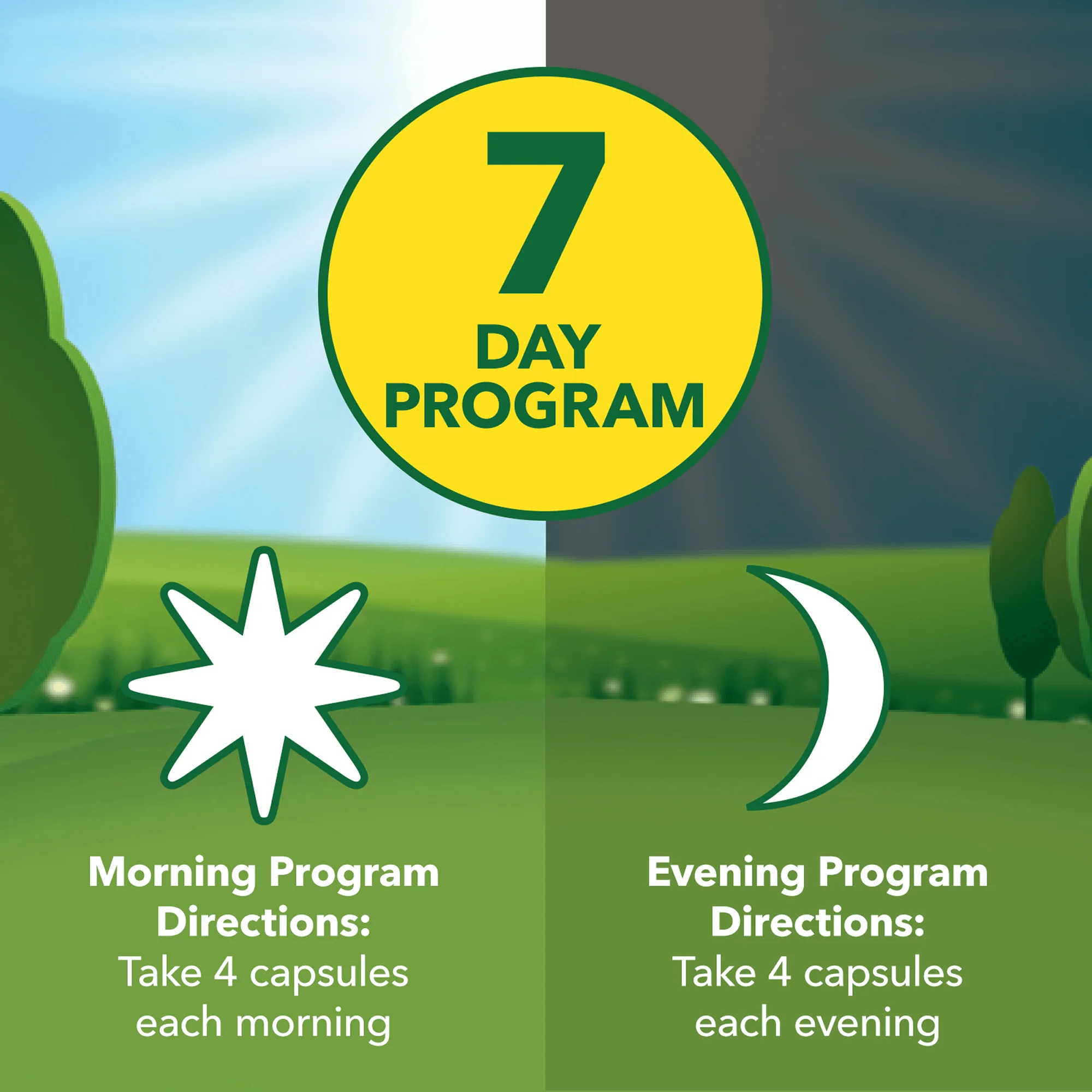 Candida Cleanse Kit - Image 4