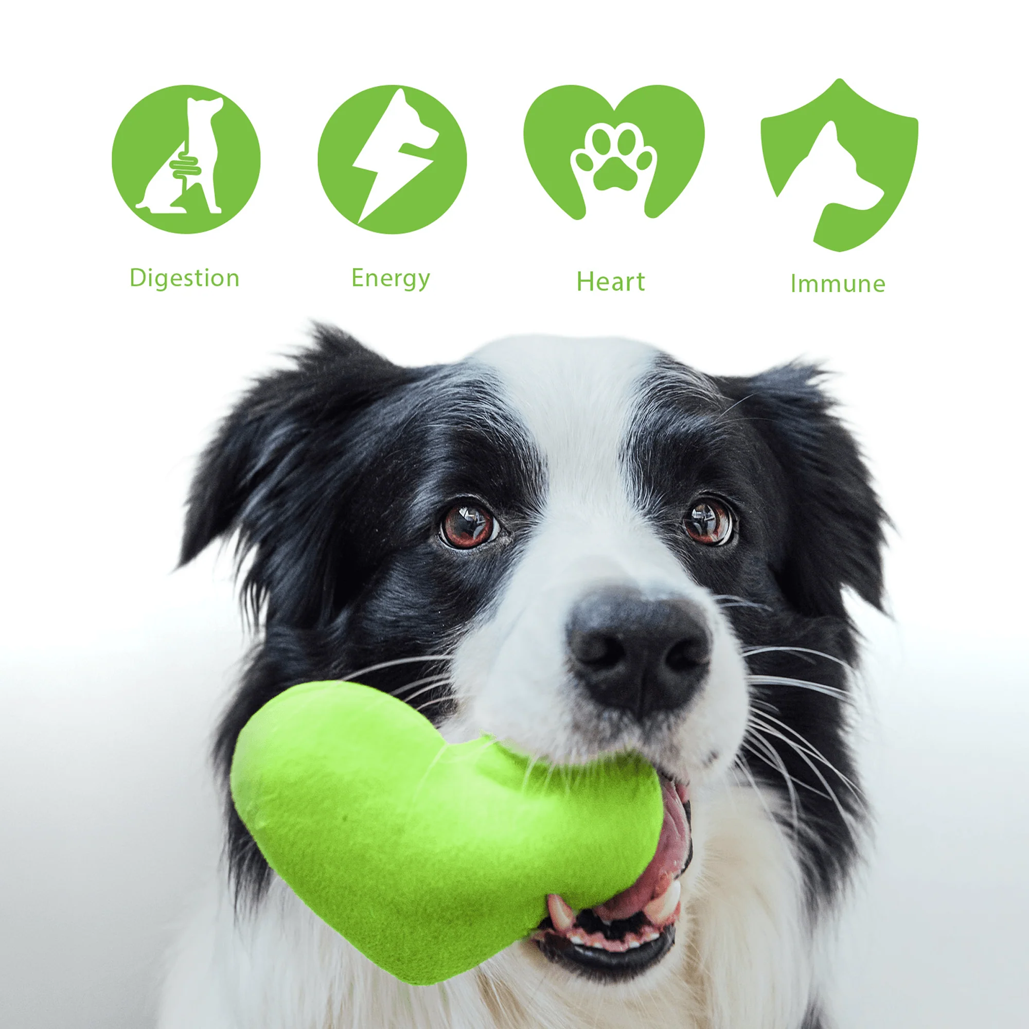 FurBaby® Probiotic Supplement for Dogs - Image 4