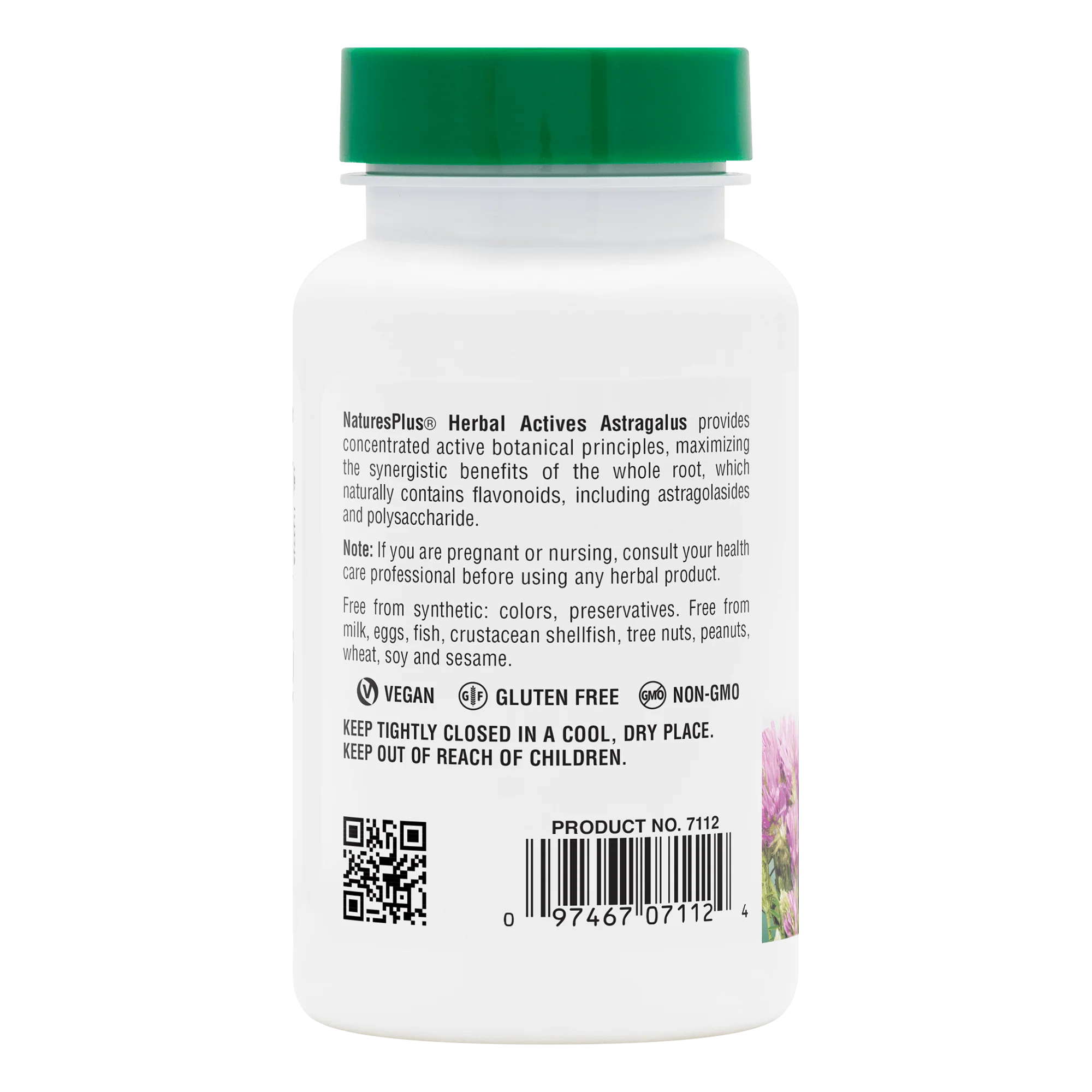 Herbal Actives Astragalus Capsules - Image 3