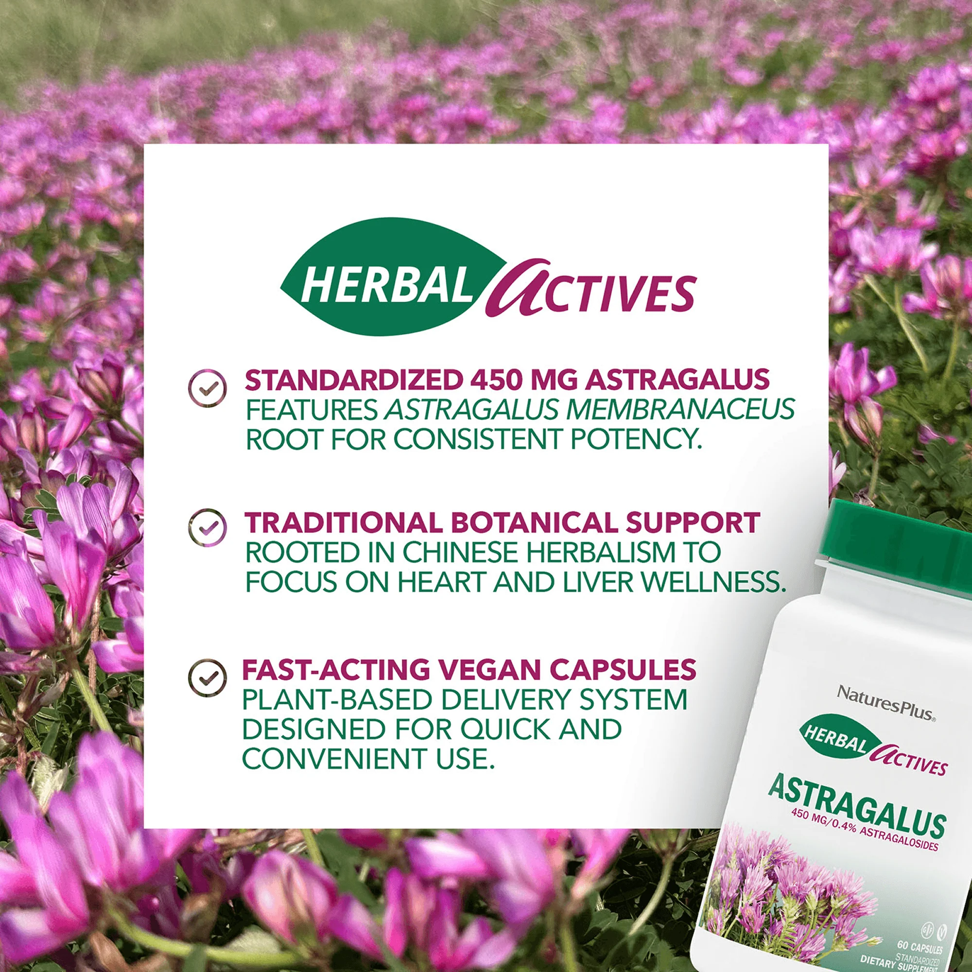 Herbal Actives Astragalus Capsules - Image 4