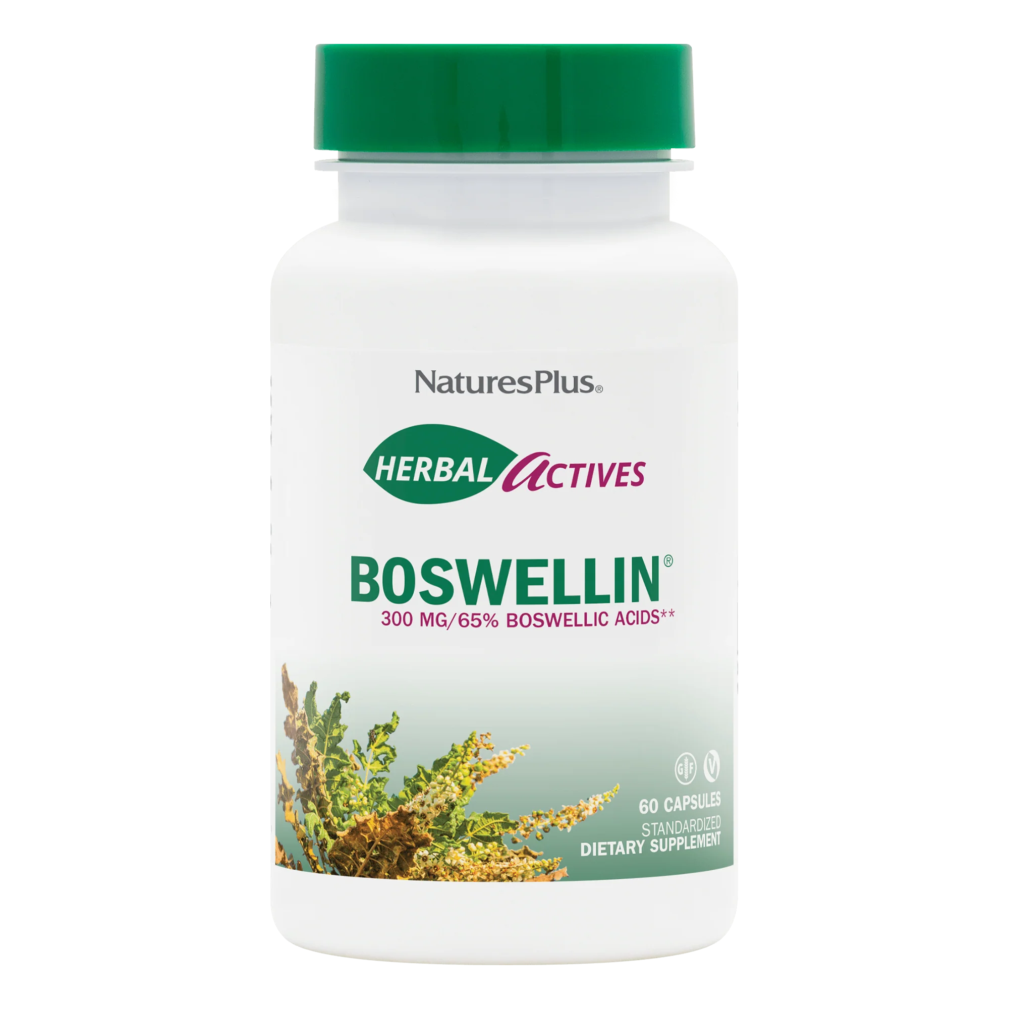 Herbal Actives Boswellin® Capsules