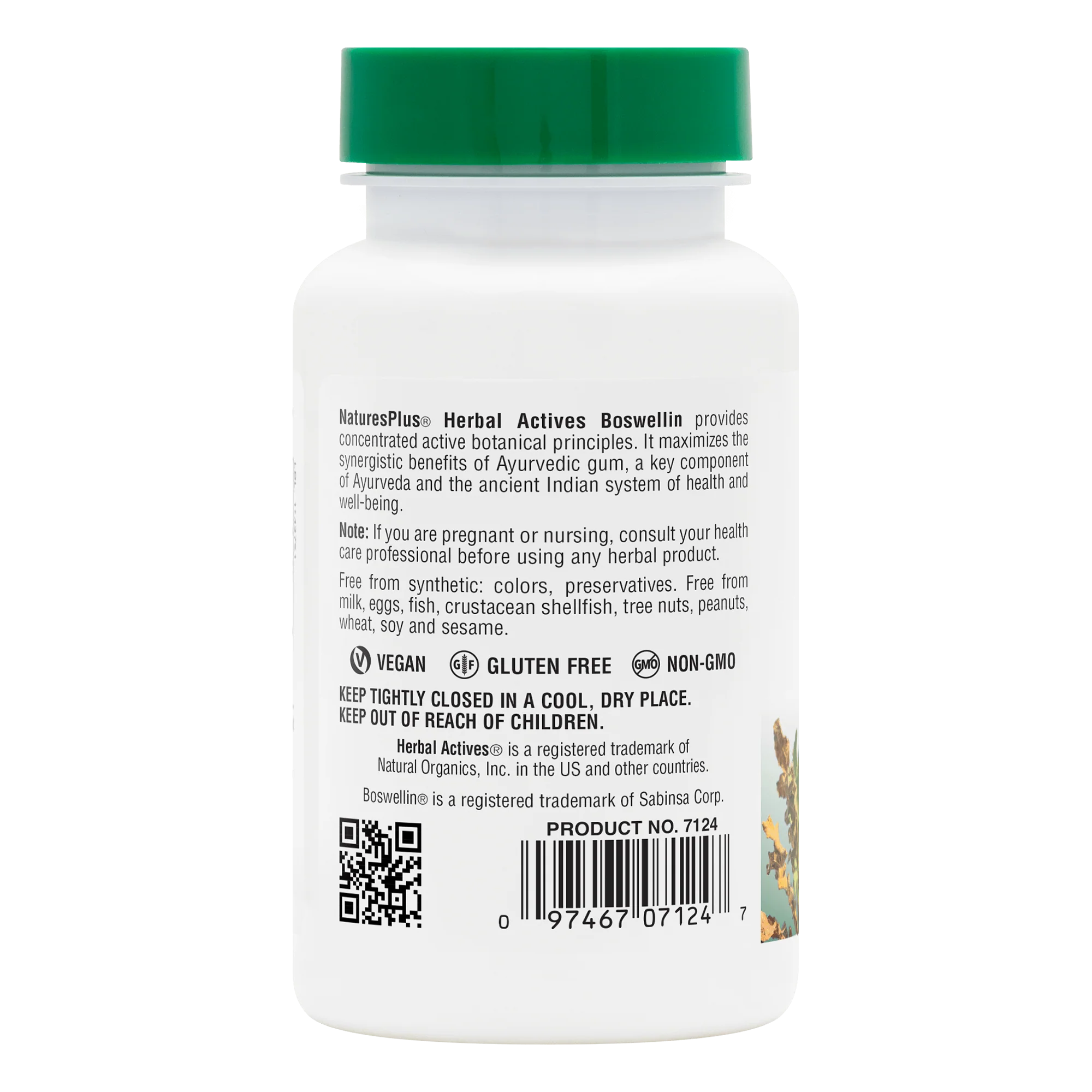 Herbal Actives Boswellin® Capsules - Image 3