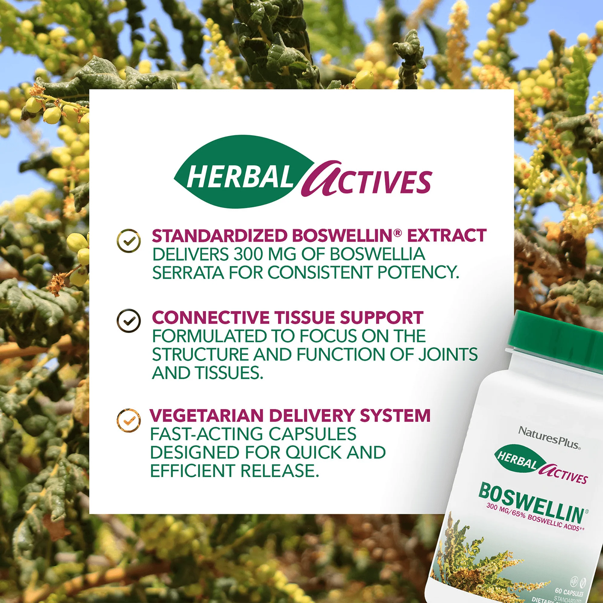 Herbal Actives Boswellin® Capsules - Image 4