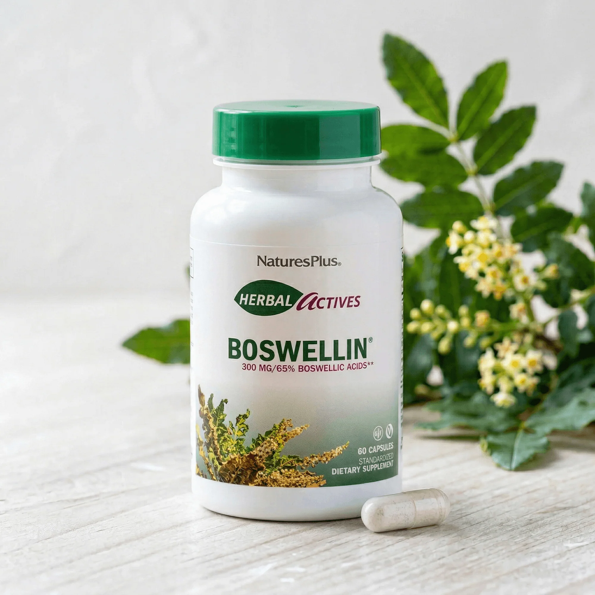 Herbal Actives Boswellin® Capsules - Image 5