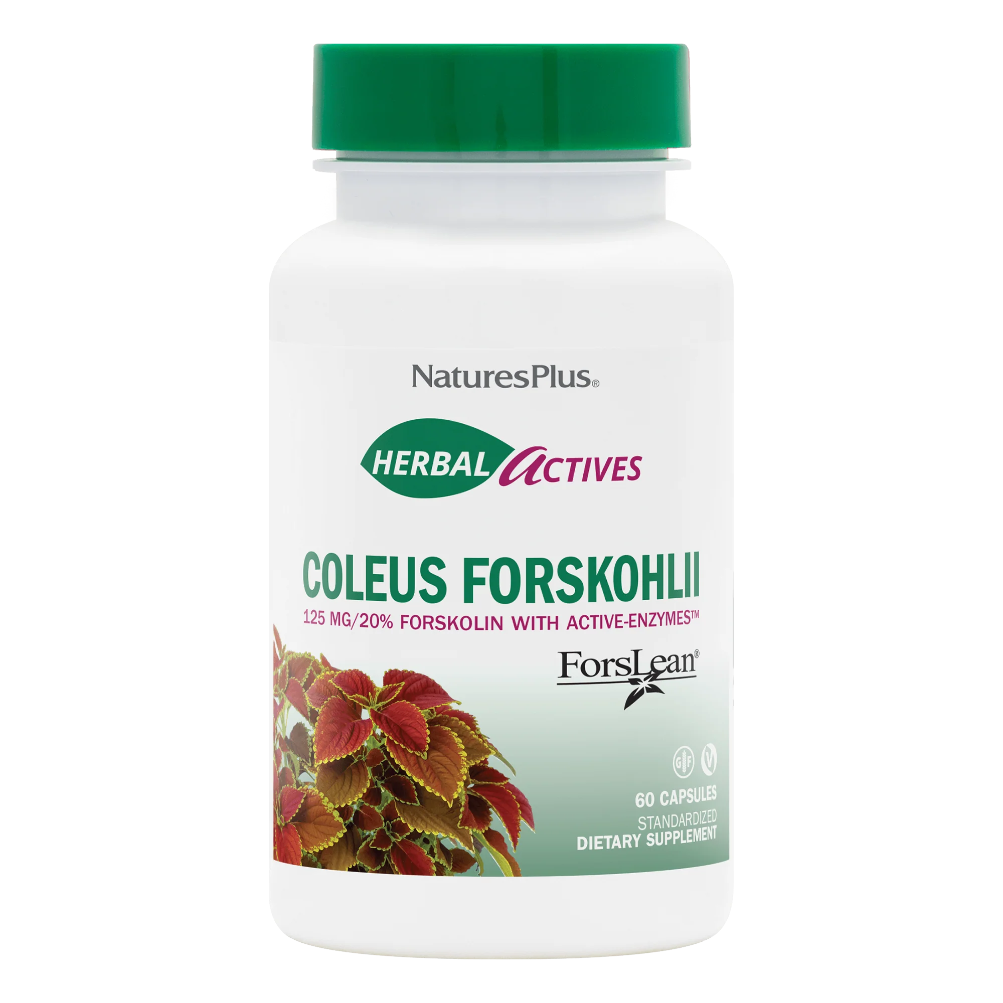 Herbal Actives Coleus Forskohlii Capsules