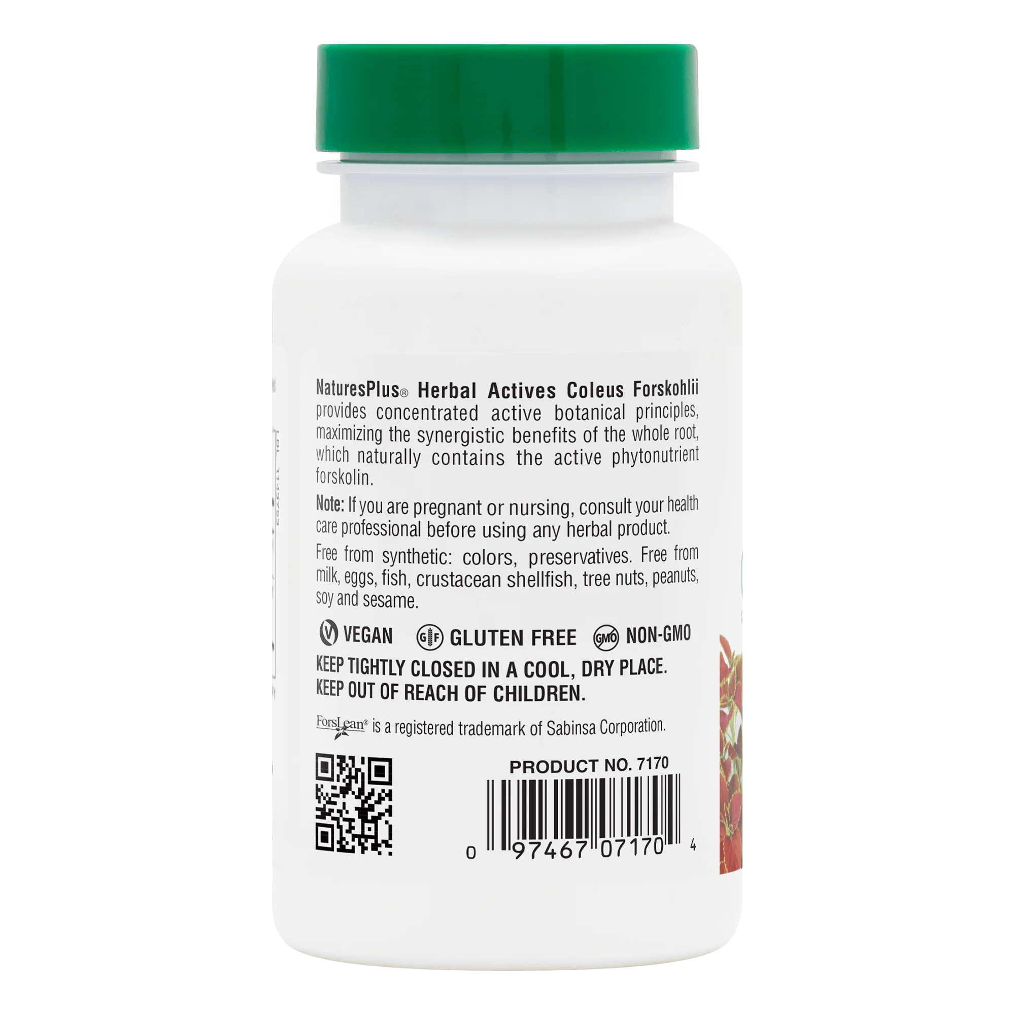 Herbal Actives Coleus Forskohlii Capsules - Image 3