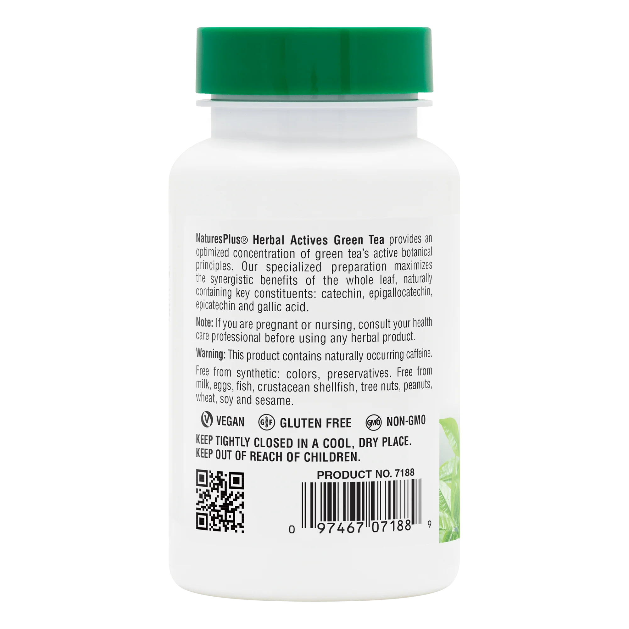 Herbal Actives Green Tea Capsules - Image 3