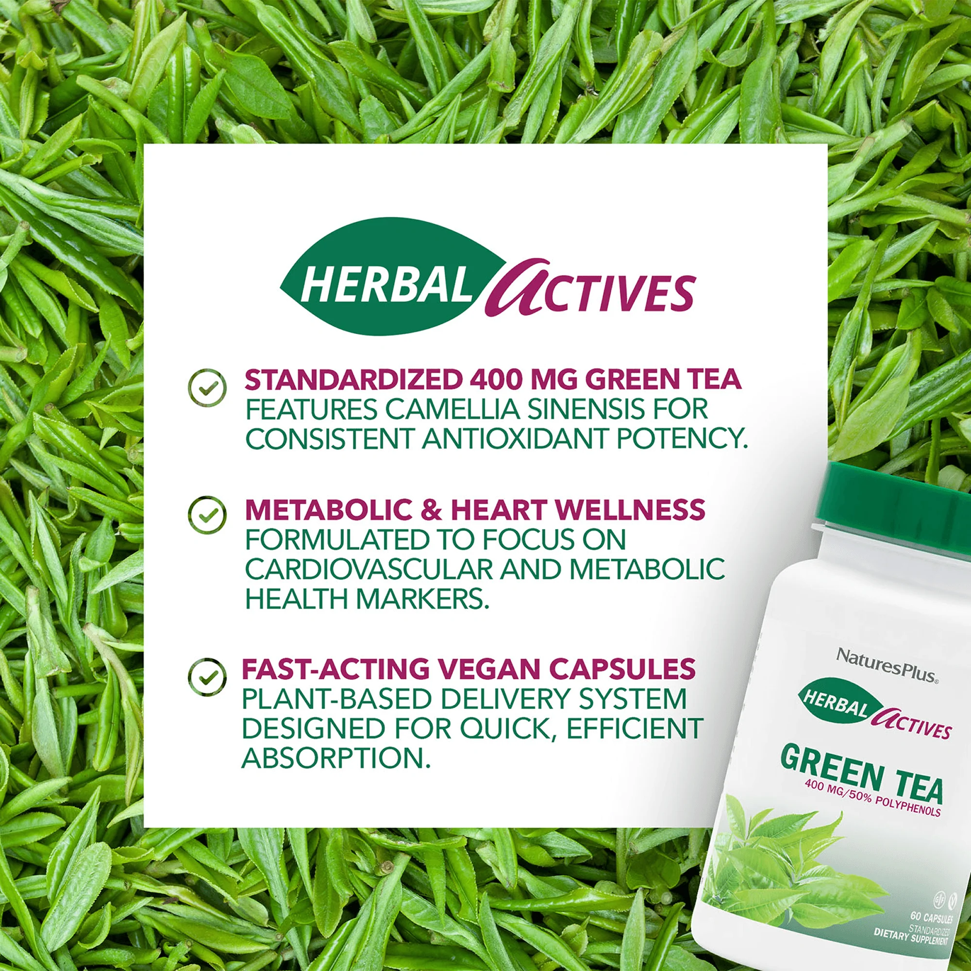 Herbal Actives Green Tea Capsules - Image 4