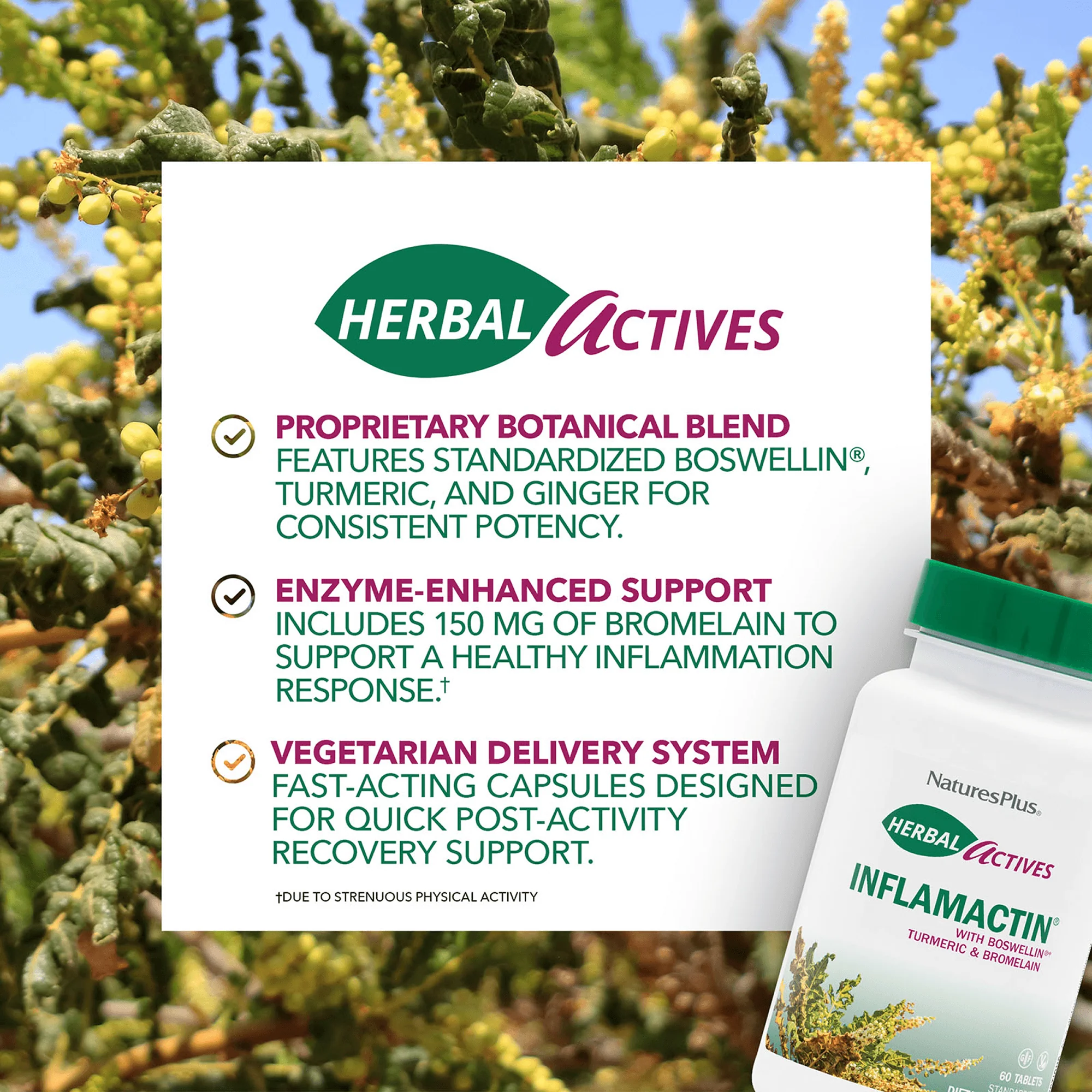Herbal Actives InflamActin Capsules - Image 4