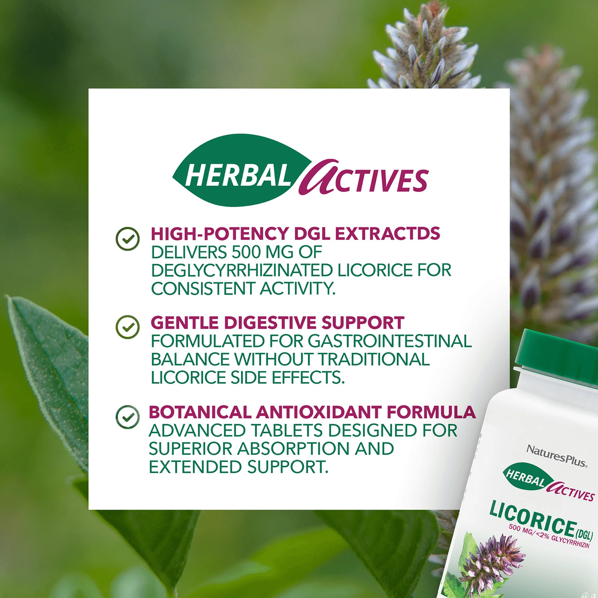 Herbal Actives Licorice DGL Capsules - Image 4