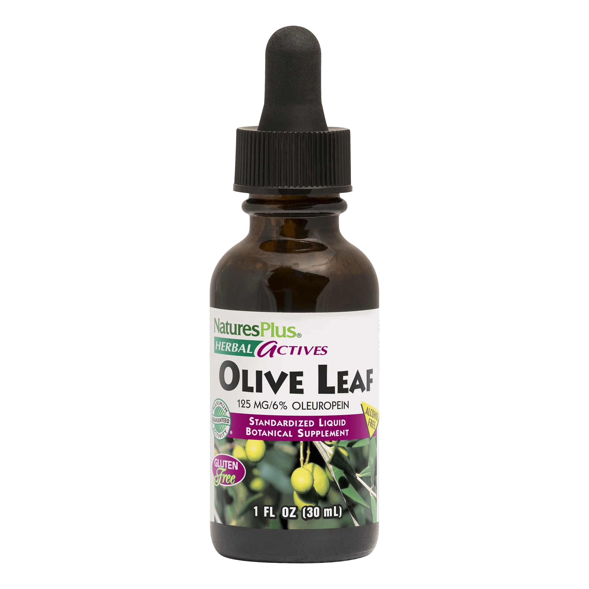 Herbal Actives Olive Leaf Liquid