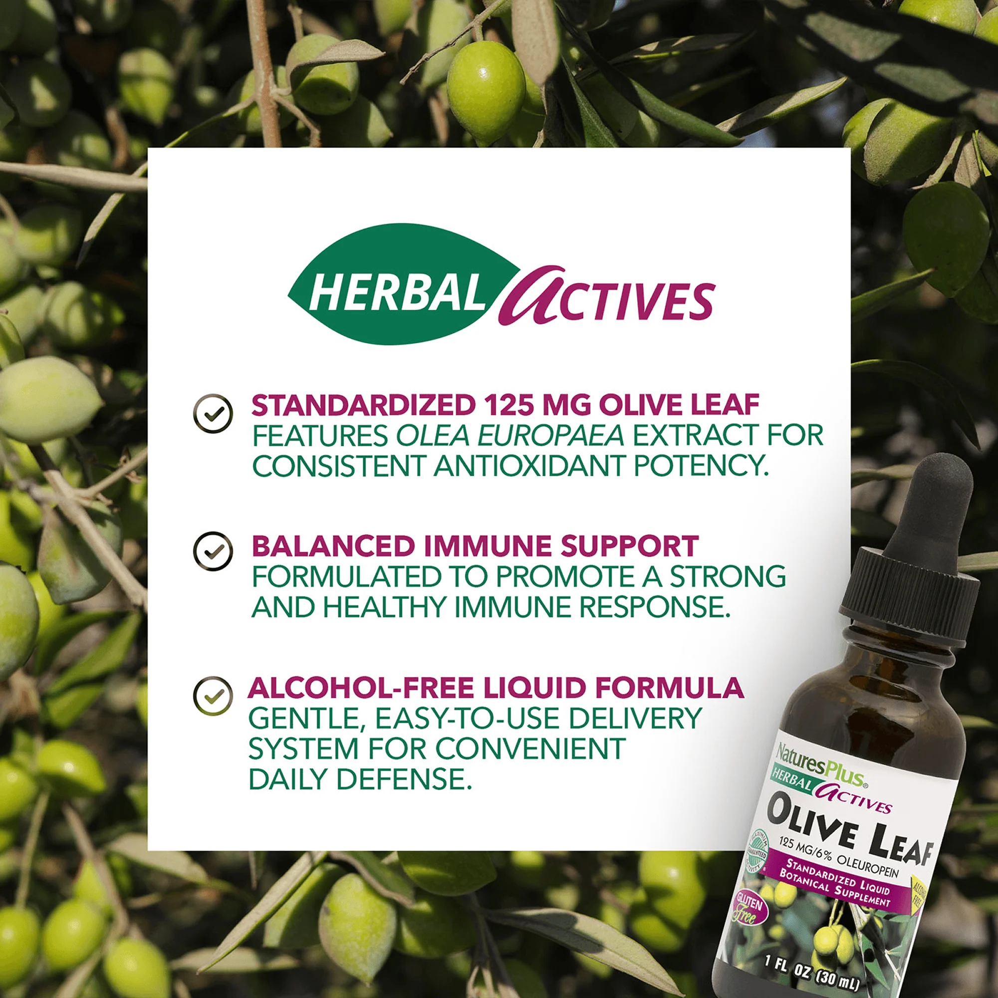 Herbal Actives Olive Leaf Liquid - Image 4