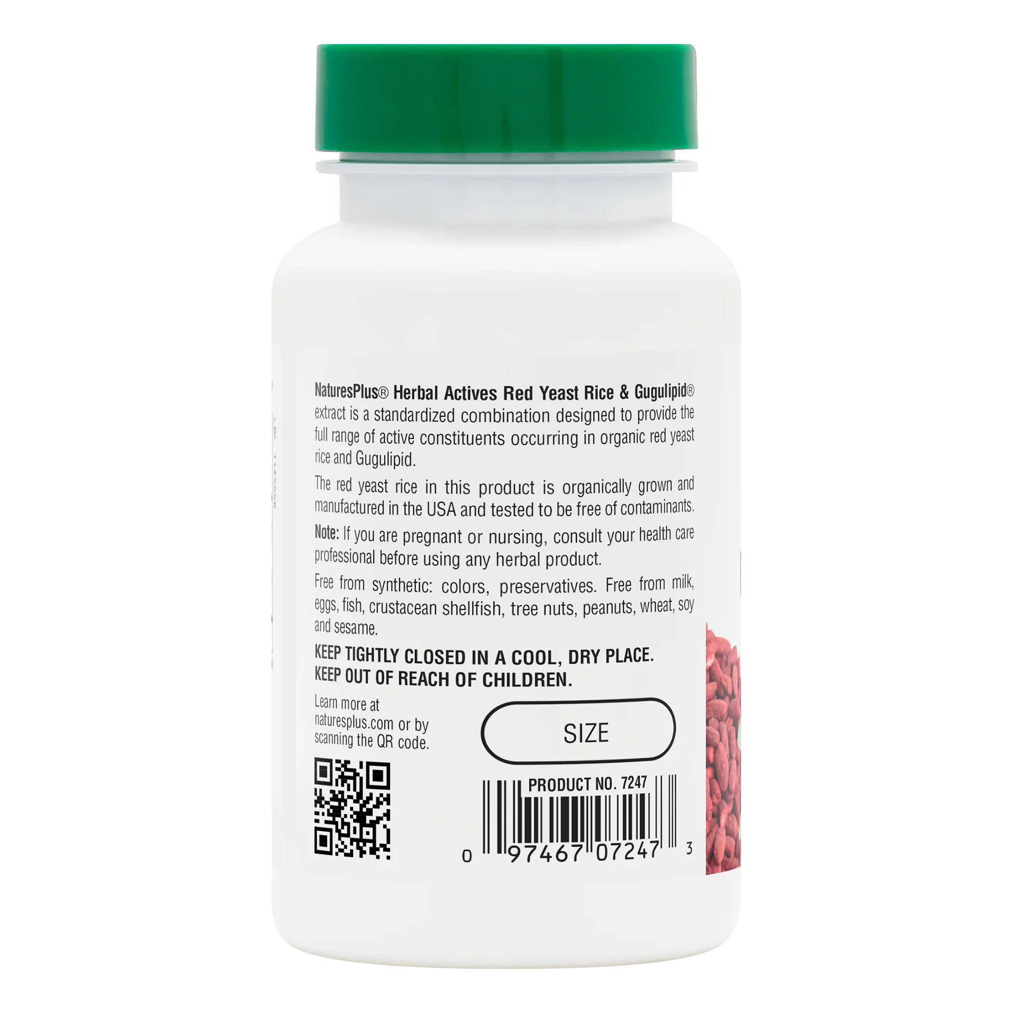 Herbal Actives Red Yeast Rice/Gugulipid® Capsules - Image 3
