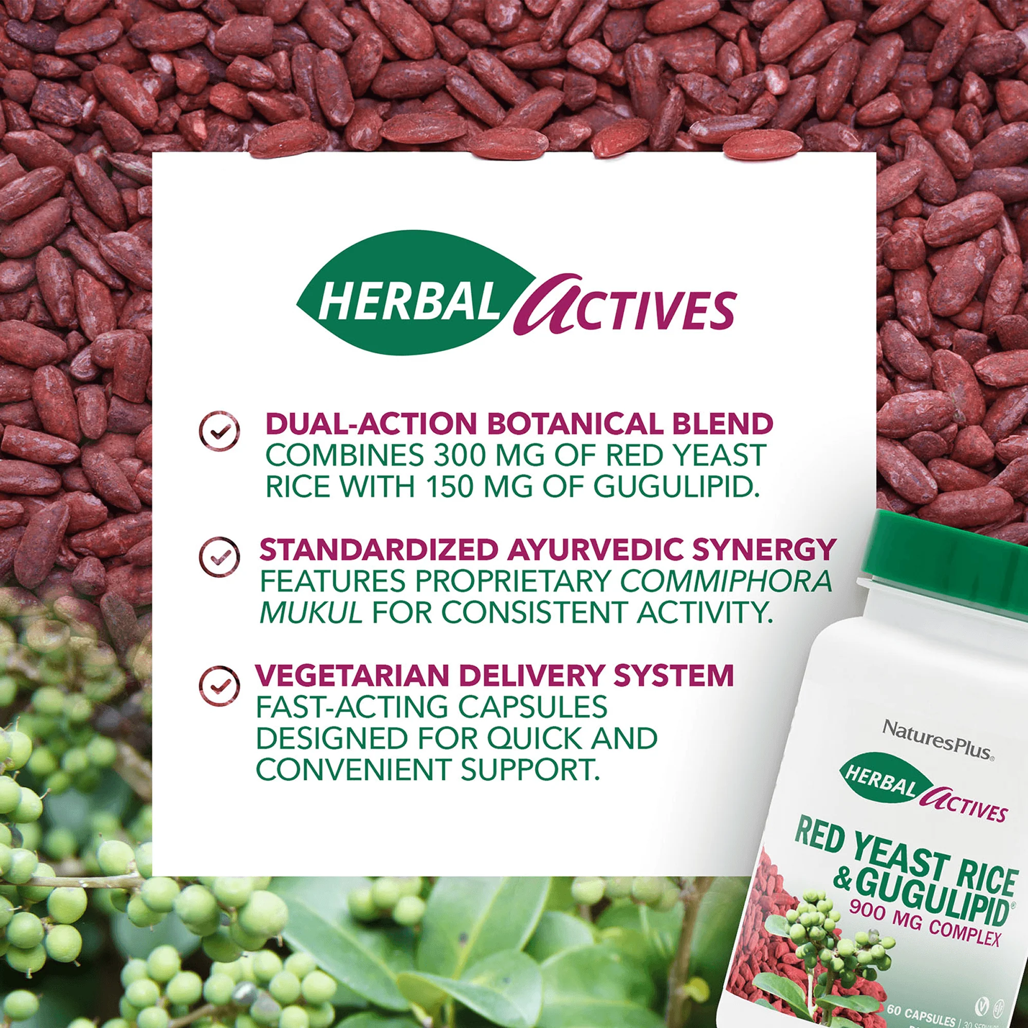 Herbal Actives Red Yeast Rice/Gugulipid® Capsules - Image 4
