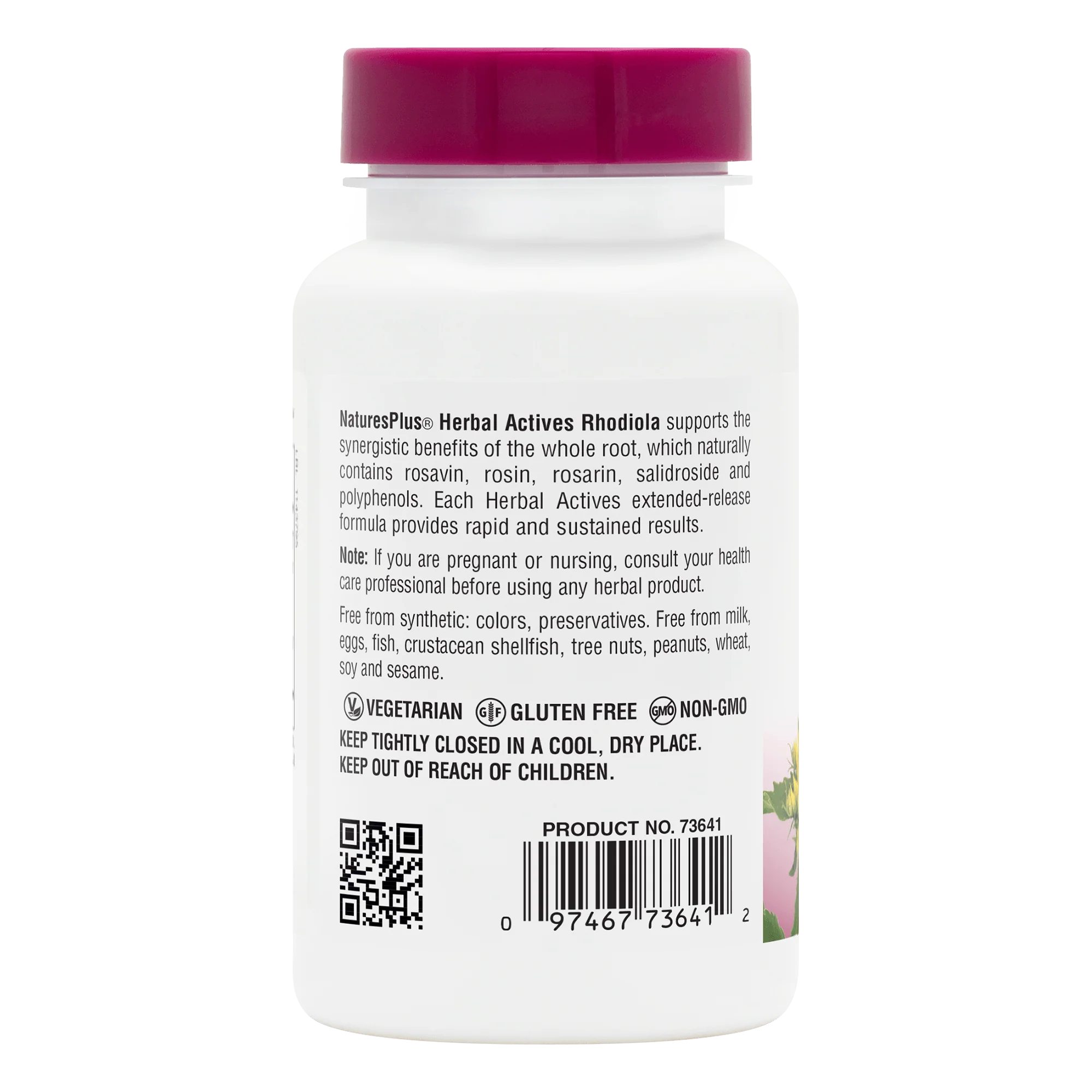 Herbal Actives Rhodiola Extended Release Tablets - Image 3