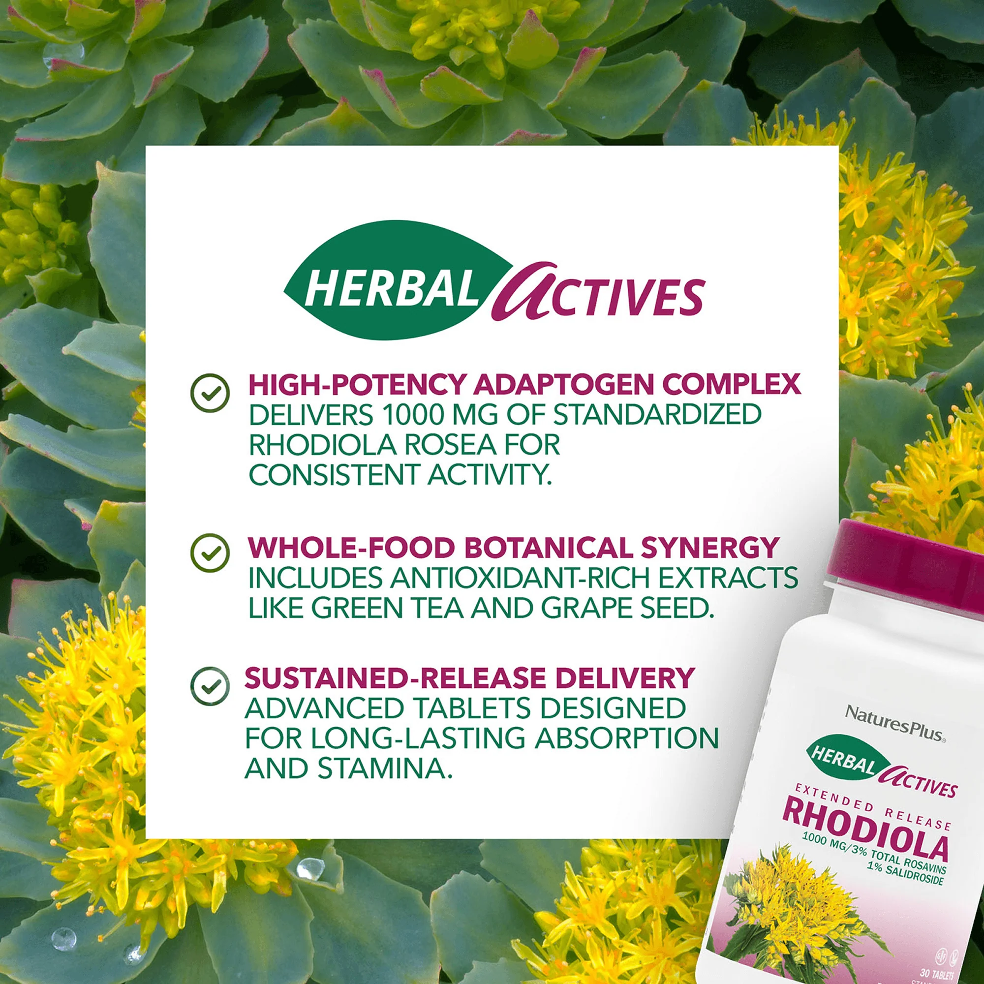 Herbal Actives Rhodiola Extended Release Tablets - Image 4