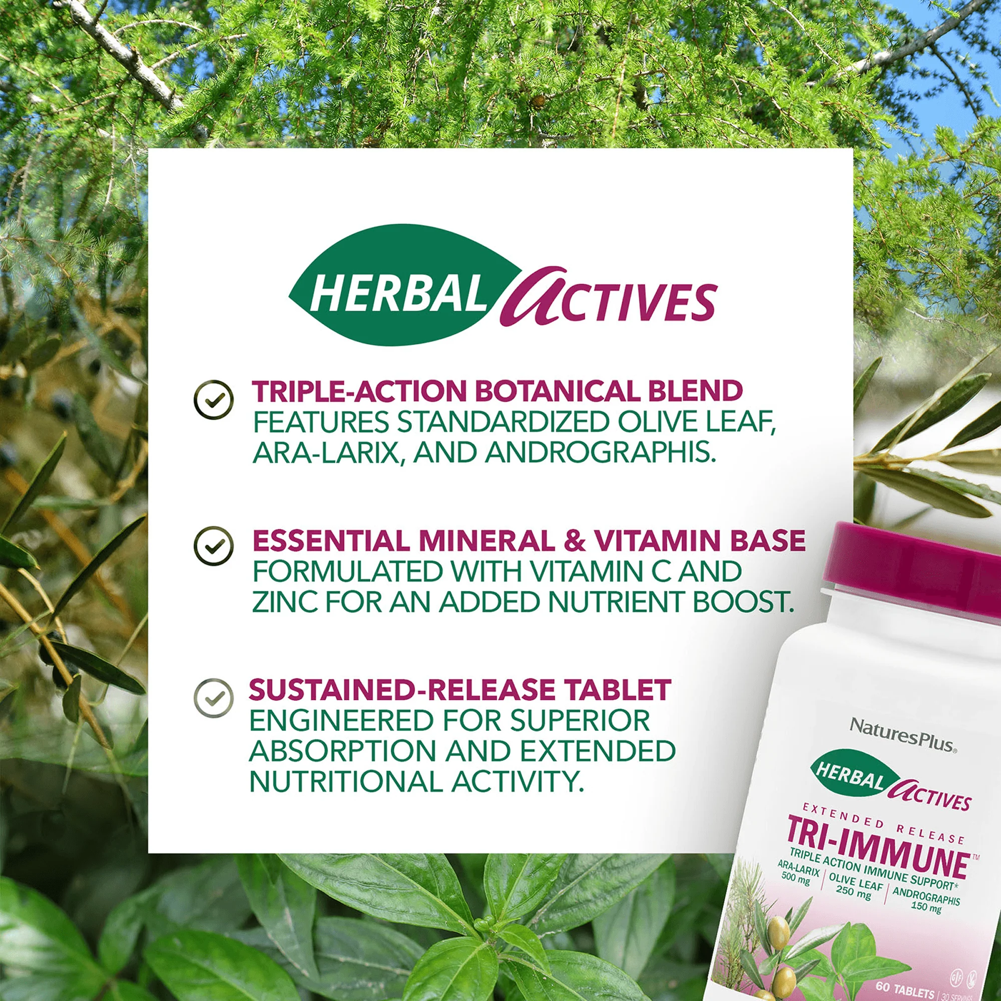Herbal Actives Tri-Immune™ Extended Release Tablets - Image 4