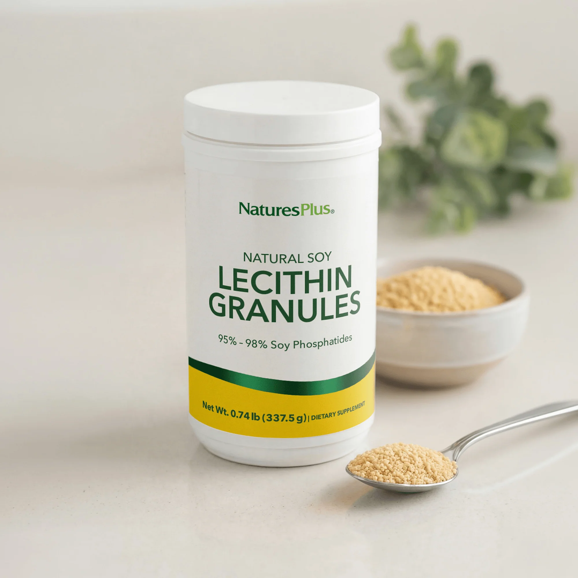 Lecithin Granules - Image 5