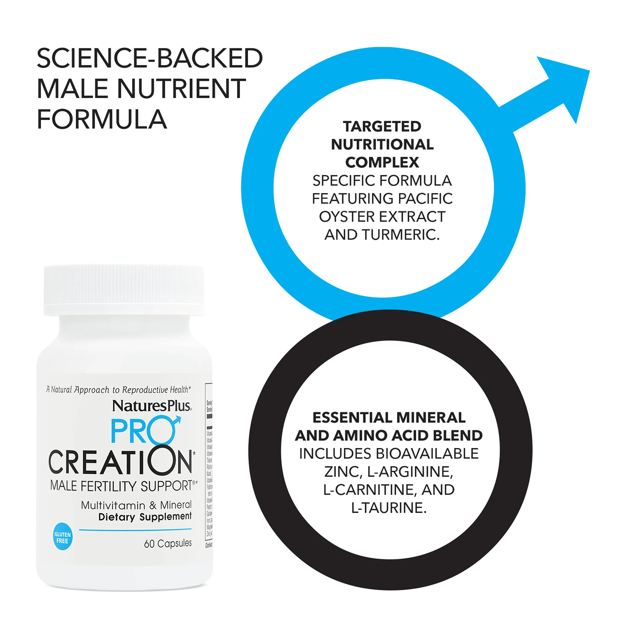 ProCreation* Male Fertility Support® - Image 4