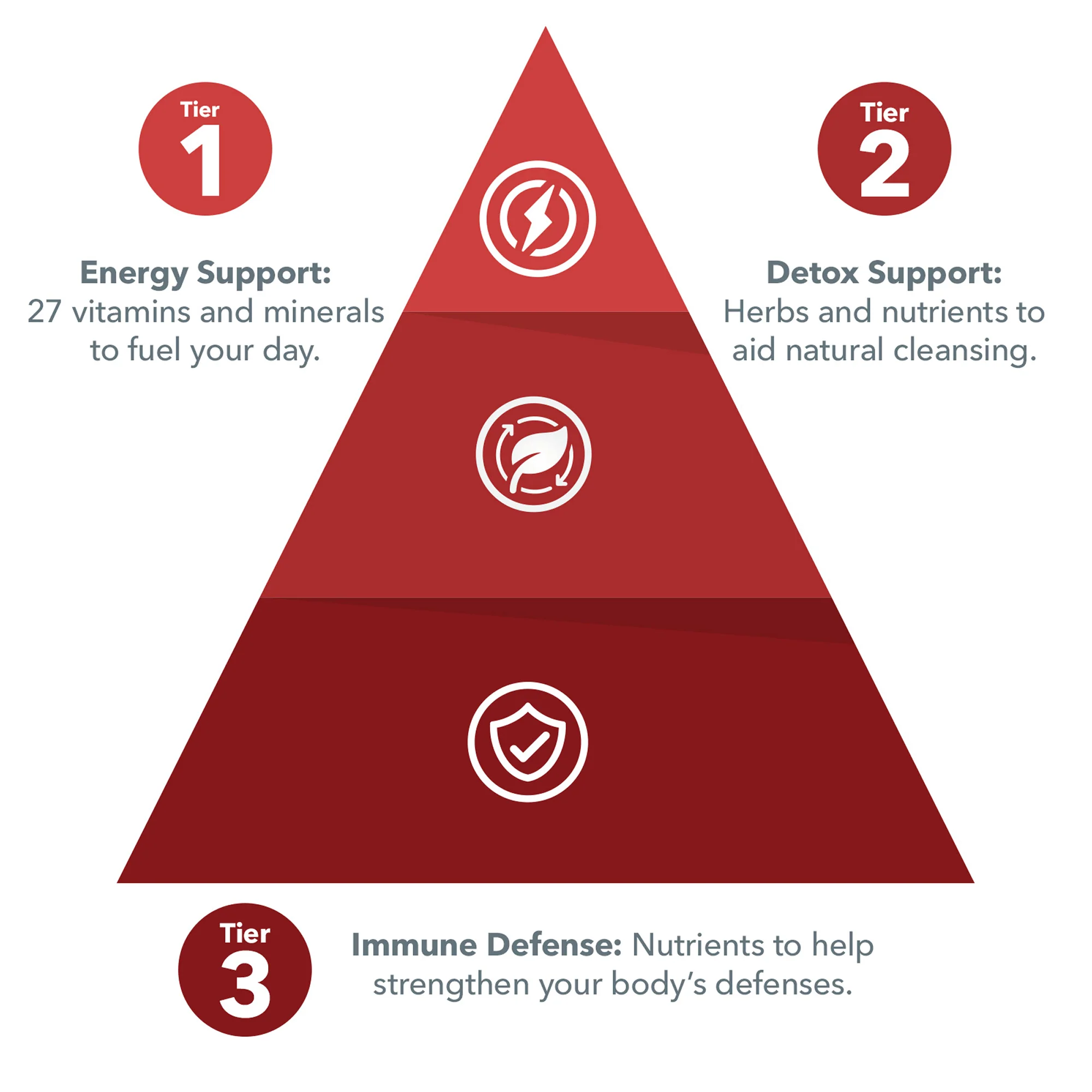 Regeneration® Multivitamin Softgels - Image 4