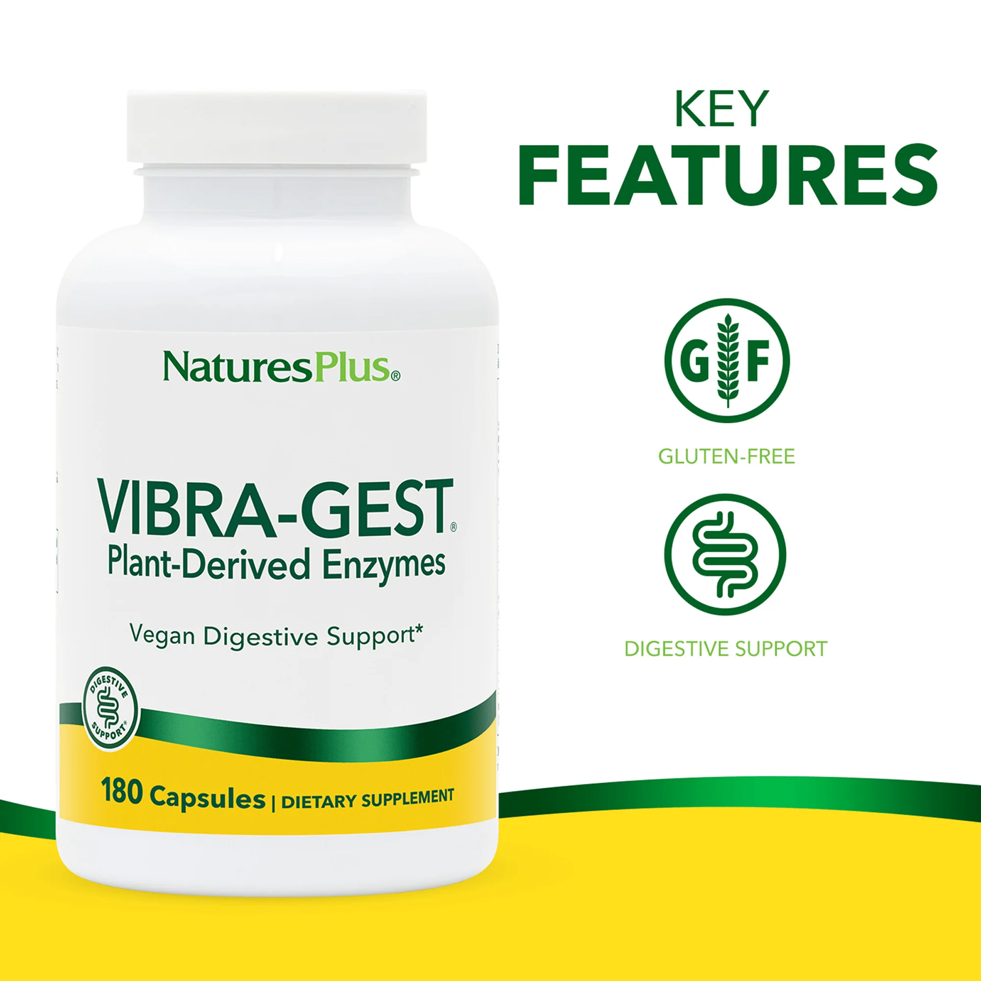Vibra-Gest® - Image 4
