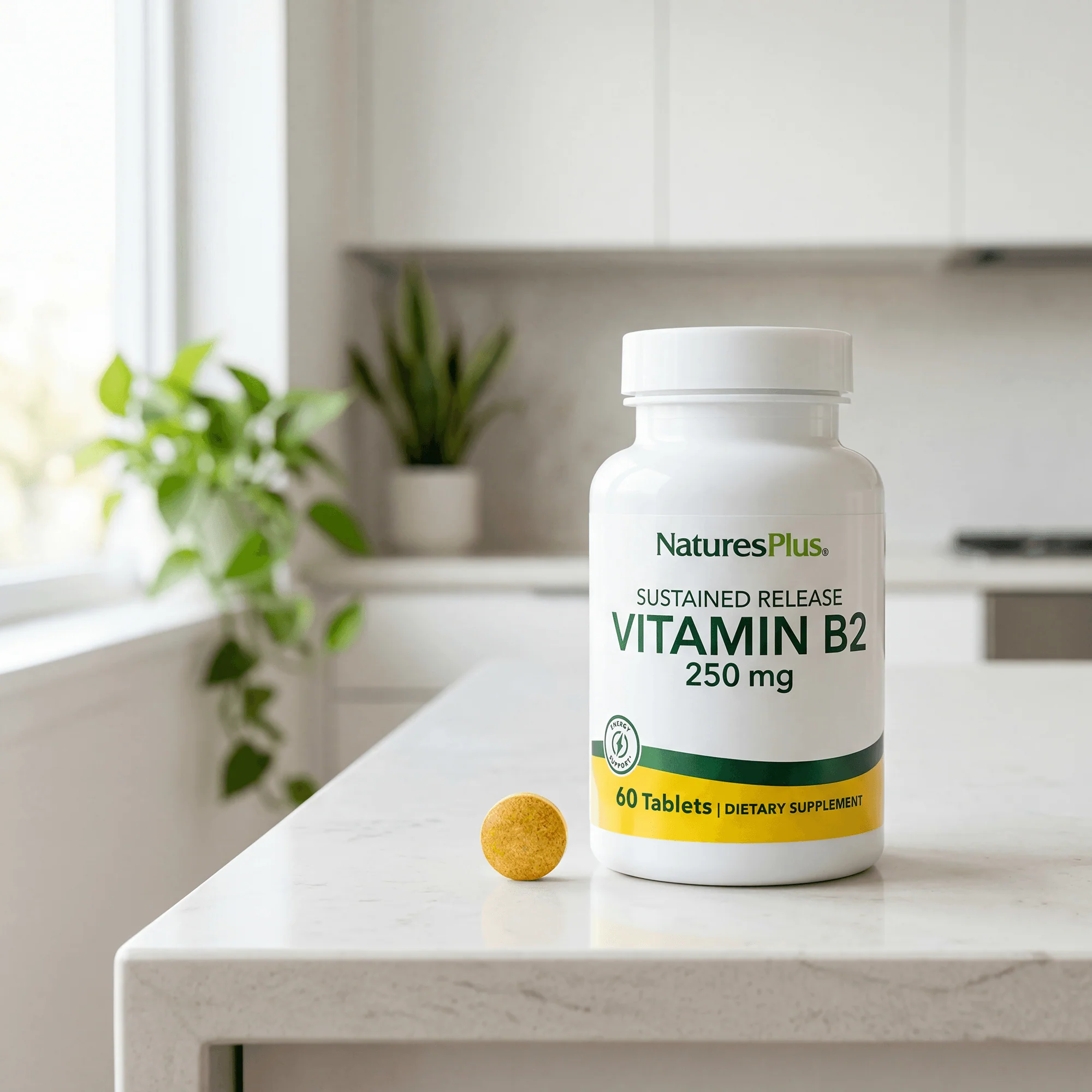 Vitamin B2 250 mg Sustained Release Tablets - Image 5